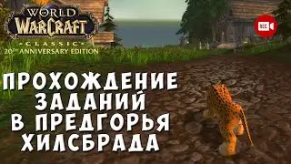 Прохождение заданий в Предгорья Хилсбрада - WoW Classic Anniversary Edition