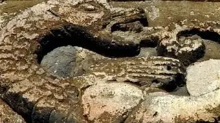 История: переводить, понимать, оценивать (К юбилею М.А. Юсима). Секции 4.1 и 4.2