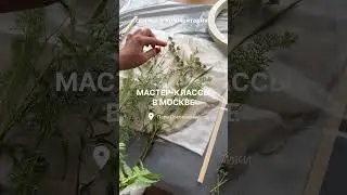 7 августа 2024 г.