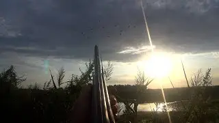 Opening of duck hunting 2025. Good mood, lots of duck and positive!!Opening of duck hunting 2025