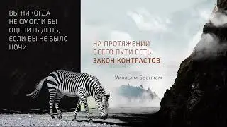 23 июня 2023 г.