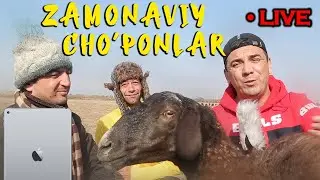 ZAMONAVIY CHO'PONLAR. BOJALAR 2020