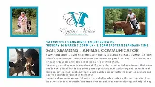 Podcast Interview with Gail Simmons - Intuitive Energy Animal Communication