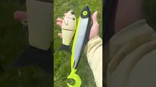 This is why you throw big baits!