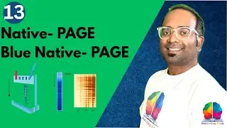 Technique - 10 | Electrophoresis Part V | Native PAGE || Blue Native PAGE