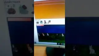 Короткое видео про Catwar