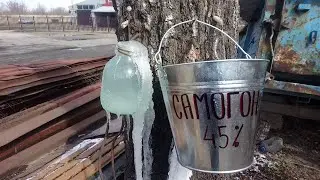 Самогон на березовом соке