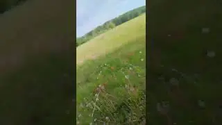 9 июня 2024 г.