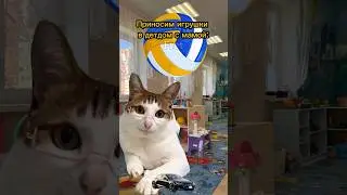 Детдом ограбил котика🙀 Мой тг: Yt_Fret 