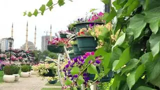 СТОЛИЦА ЧЕЧНИ ЛЕТОМ! ДОБРО ПОЖАЛОВАТЬ В ГРОЗНЫЙ!