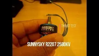 Sunnysky R2207 2580KV
