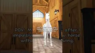 They better get used to it 😒 || Star Stable Online