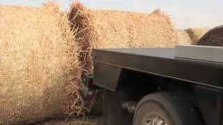 Deweze 600 & 700 Series Bale Bed