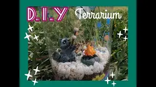 Diy terrarium!
