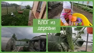 ВЛОГ. Отдыхаем и трудимся в деревне у родителей. Много песиков)))