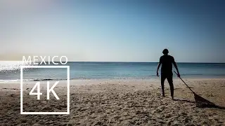 Walking in Xpu-Ha - Mexico [4K]