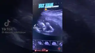 12 мая 2023 г.