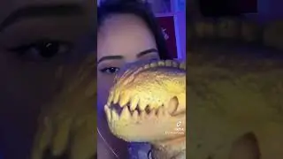 Asmr Dino