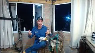 Ate quando usar bridão no cavalo  Segredo de quando tocar o bridão