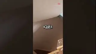 Нашёл Секретный Проход в Квартире 😱