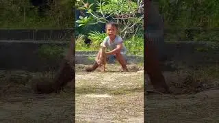 Balinese People #shorts #shortsyoutube #shortsvideo #shortvideo #travel #short #youtube