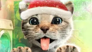 ADVENTURE tiny KITTEN cartoon about kittens and animals cartoon for kids CHRISTMAS TREE