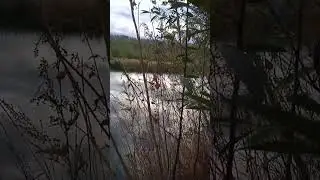 Пункт наблюдения
