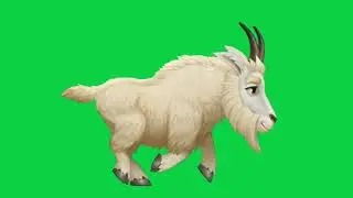 running animated sheep green screen video for Youtubers.