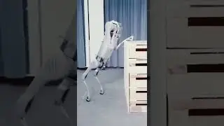 AI DOG 🐶 #ai #dog #nature #gaming #datascience #youtube #song #sony #movie #python #sql #future