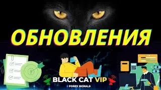 Торговля на автомате. Торговый робот BLACK CAT для форекс.