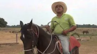 La gocha cuchillera