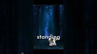 Camping trip gone wrong! 