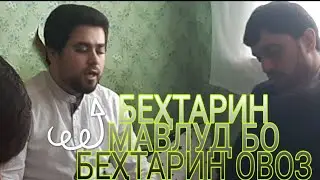 Мавлуд дар москва беҳтарин садо☝️