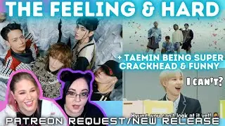 SHINee 샤이니 'HARD' MV &  'The Feeling' MV + Taemin being super crackhead & funny | K-Cord Reacts