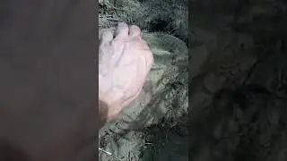 Мои топ находки  часть 1