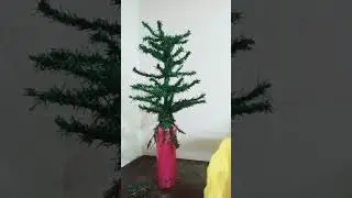 diy Christmas tree 🎄 low budget😆