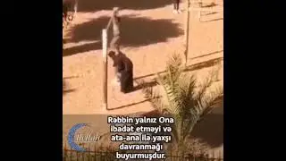 Vatsap üçün video
