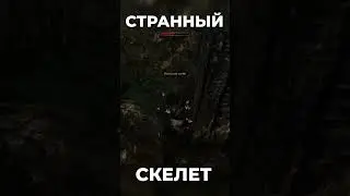 Хроники Миртаны: Архолос ➤ Странный скелет 