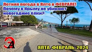 Летняя погода в Ялте в ФЕВРАЛЕ! Почему в Крыму не убирают новогодние ёлки?
