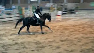 28.10.2017 Kwidzyn Rubin N