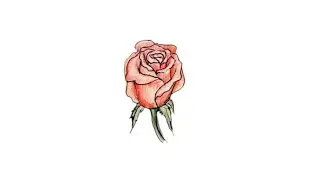 How to Draw A Rose