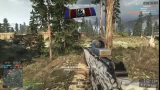 battleflied 4