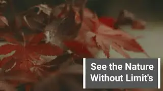 #kinemastertutorial #toptextediting How to create Top text styles in your videos by using kinemaster