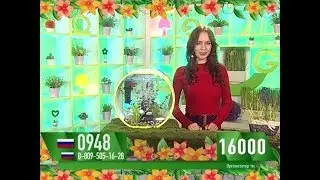Екатерина Ухватова - "Счастливый час" (16.05.17)