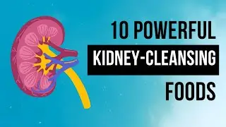 10 Best Foods to Boost Kidney Health | Rich in Cleansing Power #health #wellness #shortsvideo #facts