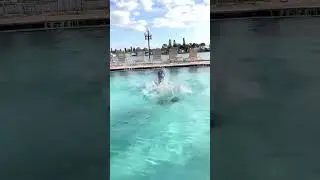 Water baby 