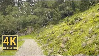 Virtual Mountain Hike Nature Walk 4K (With Ambient Nature Sounds And Music)