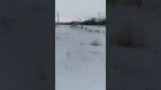электричка ЭД4М