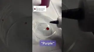 ~Purple~ Video by syntiawijaya