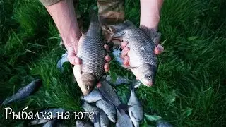 Ловля крупного карася.  река  Кочеты